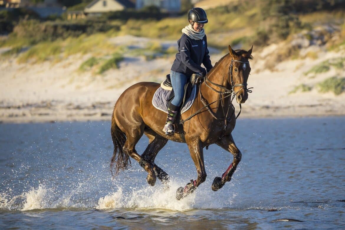 L’équitation : les idées reçues !