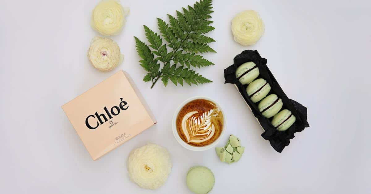 Les indispensables sacs et chaussures Chlo&eacute; pour sublimer votre &eacute;t&eacute; prochain