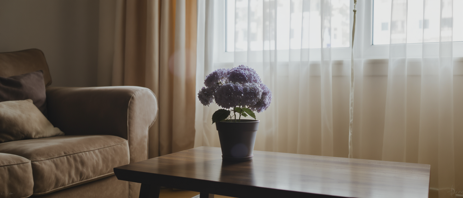 La plante &agrave; &eacute;viter pour pr&eacute;server l&rsquo;harmonie familiale selon le Feng Shui&hellip; Et si elle se cachait d&eacute;j&agrave; chez vous ?