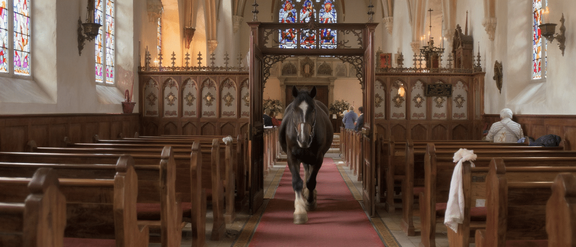 Hommage à Brigitte Bardot : un cheval fait une entrée surprenante dans l’église